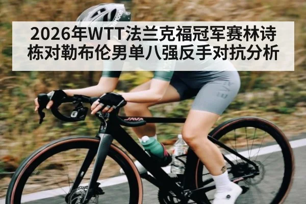 2026年WTT法兰克福冠军赛林诗栋对勒布伦男单八强反手对抗分析