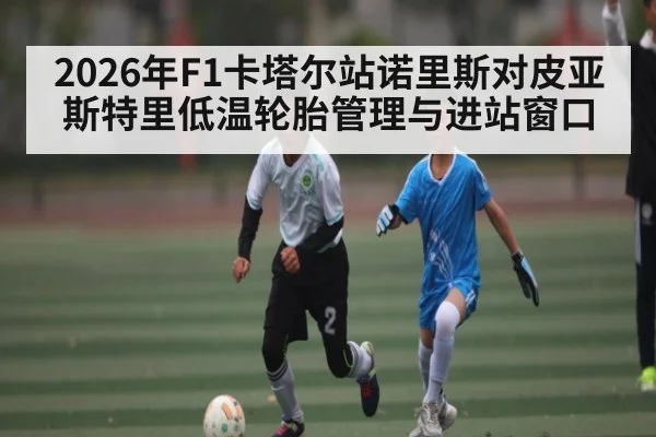 2026年F1卡塔尔站诺里斯对皮亚斯特里低温轮胎管理与进站窗口
